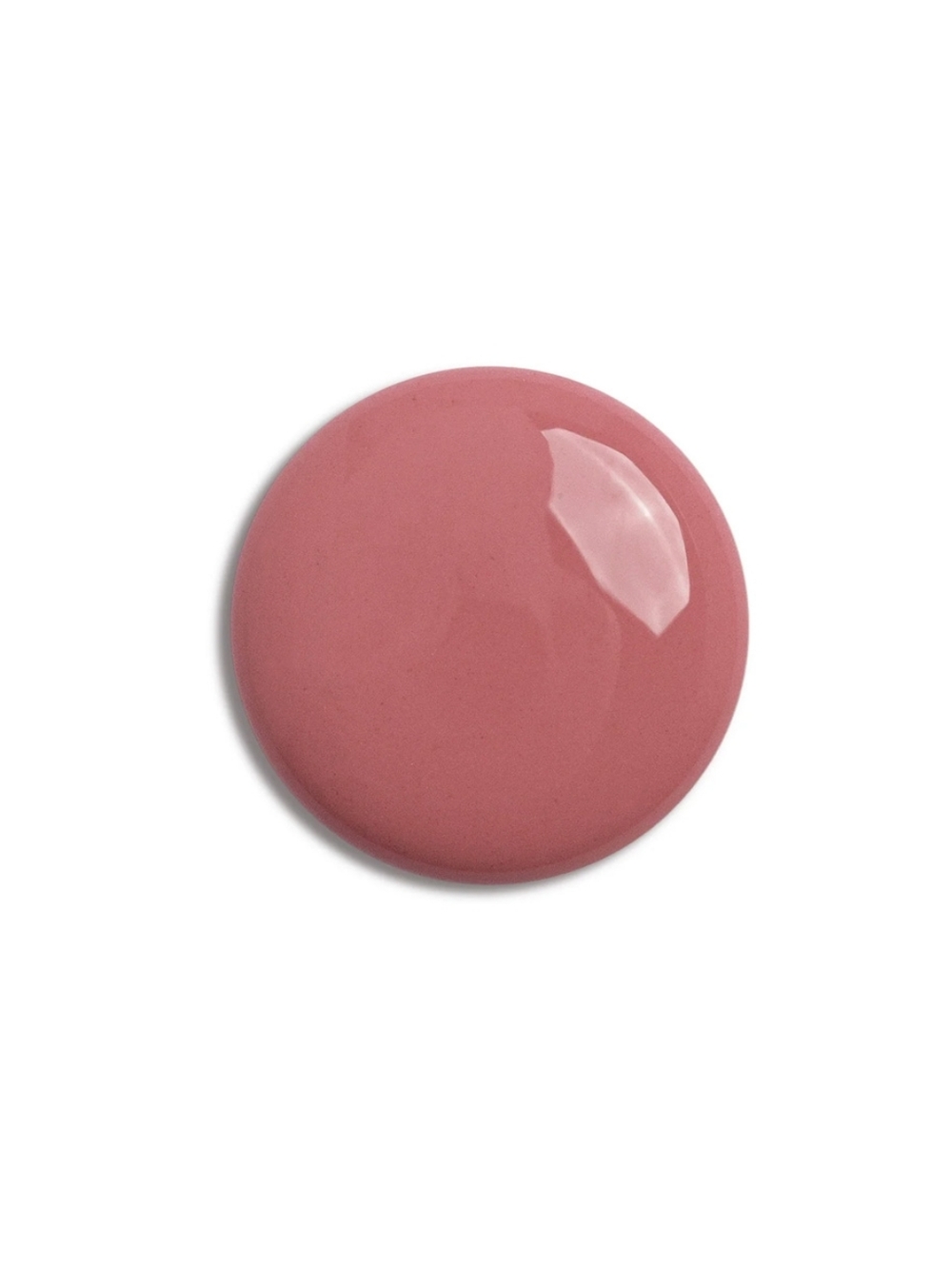 PRALINE ROSE - Picture 2 of 5